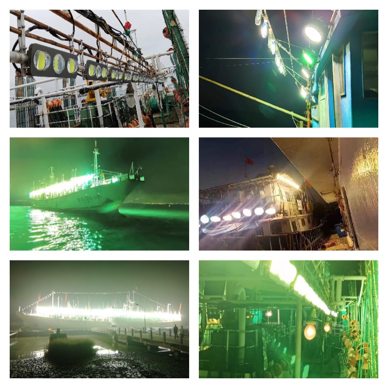 1000w led fishiing lamp