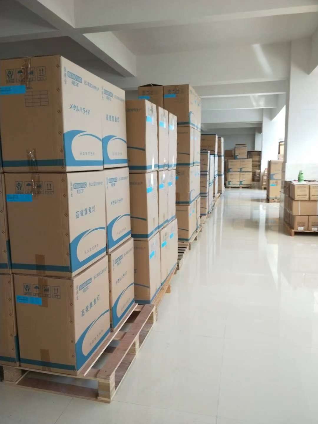 Wholesale squid fishing lights 4000w