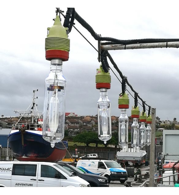 blitz-bright-metal-halide-squid-fishing-globes-2kw-globe-tt100-slim